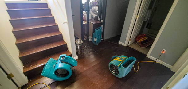 Best Flooded house restoration  in Mapleton, UT