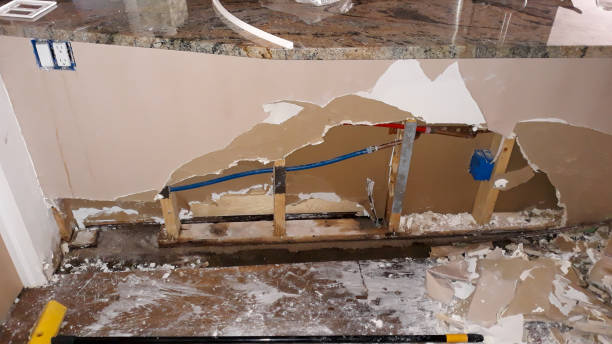 Best Local water damage restoration  in Mapleton, UT