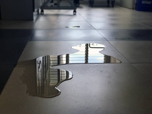 Best Water damage restoration near me  in Mapleton, UT