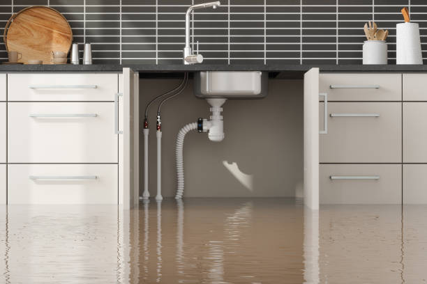Best Professional water damage repair  in Mapleton, UT